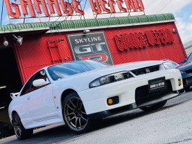 Nissan Skyline GT-R R33 for sale (#3597)