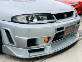 Nissan Skyline BCNR33 GT-R for sale (#3499)