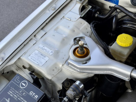 Nissan Skyline GT-R R34 for sale (#3975)