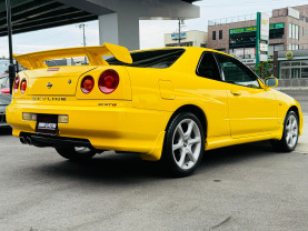 Nissan Skyline ER34 GT-T for sale (#3983)