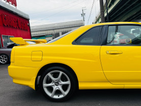 Nissan Skyline ER34 GT-T for sale (#3983)