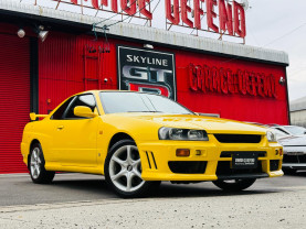 Nissan Skyline ER34 GT-T for sale (#3983)