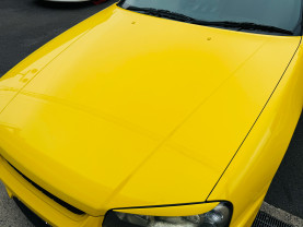 Nissan Skyline ER34 GT-T for sale (#3983)