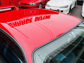 Nissan Skyline GT-R R33 for sale (#3925)