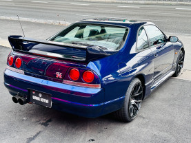 Nissan Skyline GT-R R33 for sale (#3875)