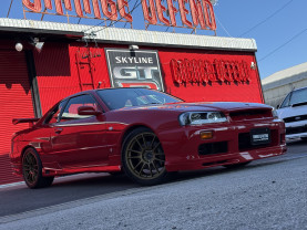 Nissan Skyline ER34 GT-T for sale (#3943)