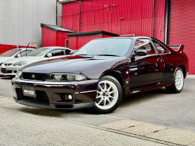 Nissan Skyline GT-R R33 for sale (#3946)