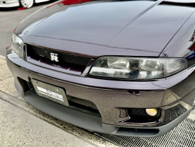 Nissan Skyline GT-R R33 for sale (#3946)