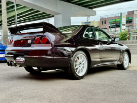 Nissan Skyline GT-R R33 for sale (#3946)