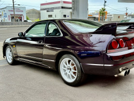 Nissan Skyline GT-R R33 for sale (#3946)