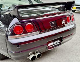 Nissan Skyline GT-R R33 for sale (#3946)