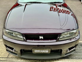 Nissan Skyline GT-R R33 for sale (#3946)