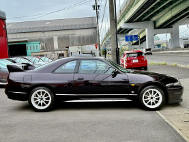 Nissan Skyline GT-R R33 for sale (#3946)