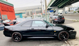 Nissan Skyline BCNR33 GT-R for sale (#3463)