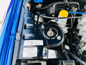 Nissan Skyline ER34 GT-T for sale (#3845)