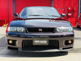 Nissan Skyline GT-R R33 for sale (#3946)