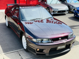Nissan Skyline GT-R R33 for sale (#3946)