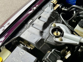 Nissan Skyline GT-R R33 for sale (#3946)