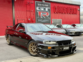 Nissan Skyline ER34 GT-T for sale (#3954)
