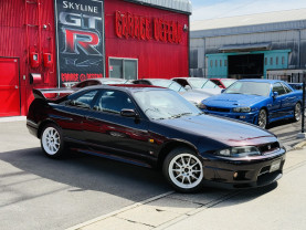 Nissan Skyline GT-R R33 for sale (#3946)