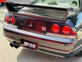 Nissan Skyline GT-R R33 for sale (#3946)