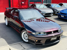 Nissan Skyline GT-R R33 for sale (#3946)
