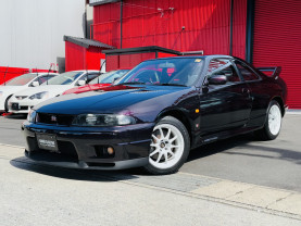 Nissan Skyline GT-R R33 for sale (#3946)
