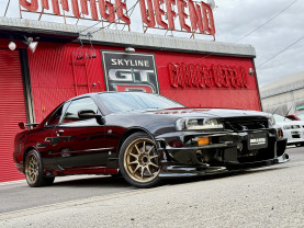 Nissan Skyline ER34 GT-T for sale (#3954)