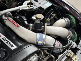 Nissan Skyline GT-R R33 for sale (#3946)