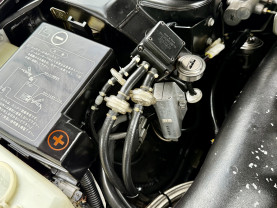 Nissan Skyline GT-R R33 for sale (#3946)