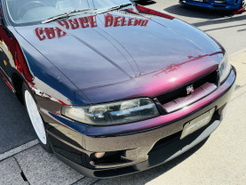 Nissan Skyline GT-R R33 for sale (#3946)