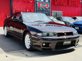Nissan Skyline GT-R R33 for sale (#3946)