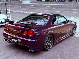 Nissan Skyline ER34 GT-T for sale (#3900)