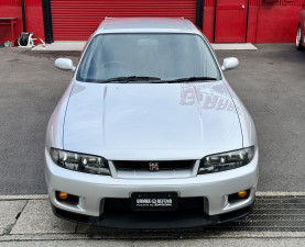 Nissan Skyline GT-R R33 for sale (#3955)