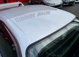 Nissan Skyline GT-R R33 for sale (#3955)