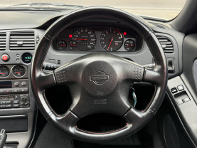 Nissan Skyline GT-R R33 for sale (#3955)