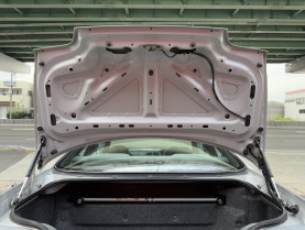 Nissan Skyline GT-R R33 for sale (#3955)