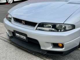 Nissan Skyline GT-R R33 for sale (#3955)