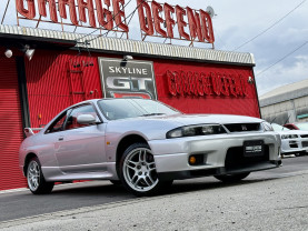 Nissan Skyline GT-R R33 for sale (#3955)