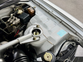 Nissan Skyline GT-R R33 for sale (#3955)