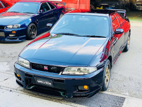 Nissan Skyline GT-R R33 for sale (#3696)