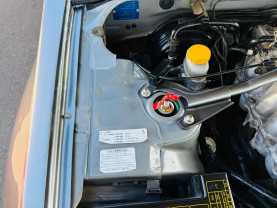 Nissan Skyline ER34 GT-T for sale (#3963)